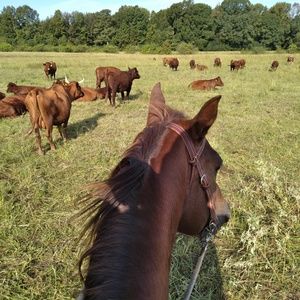 Meet your Posher, Clayton